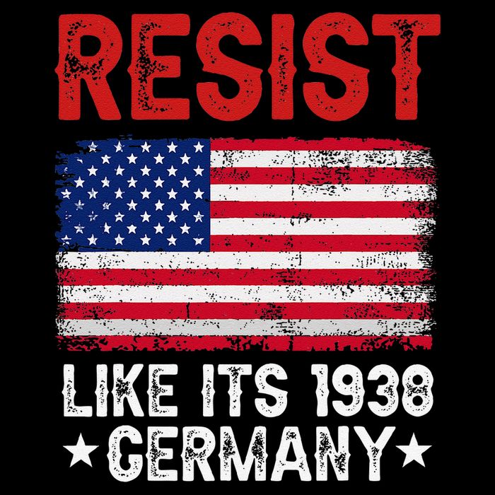 Resist Like Its 1938 Germany Historical Germany USA Flag Toddler T-Shirt