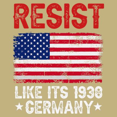 Resist Like Its 1938 Germany Historical Germany USA Flag T-Shirt