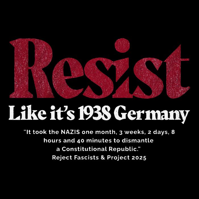 Resist Like Its 1938 Germany Bucket Hat