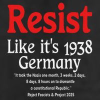 Resist Like Its 1938 Germany 15oz Campfire Ceramic Mug
