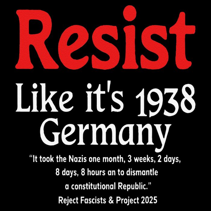 Resist Like Its 1938 Germany 16 in Basic Backpack