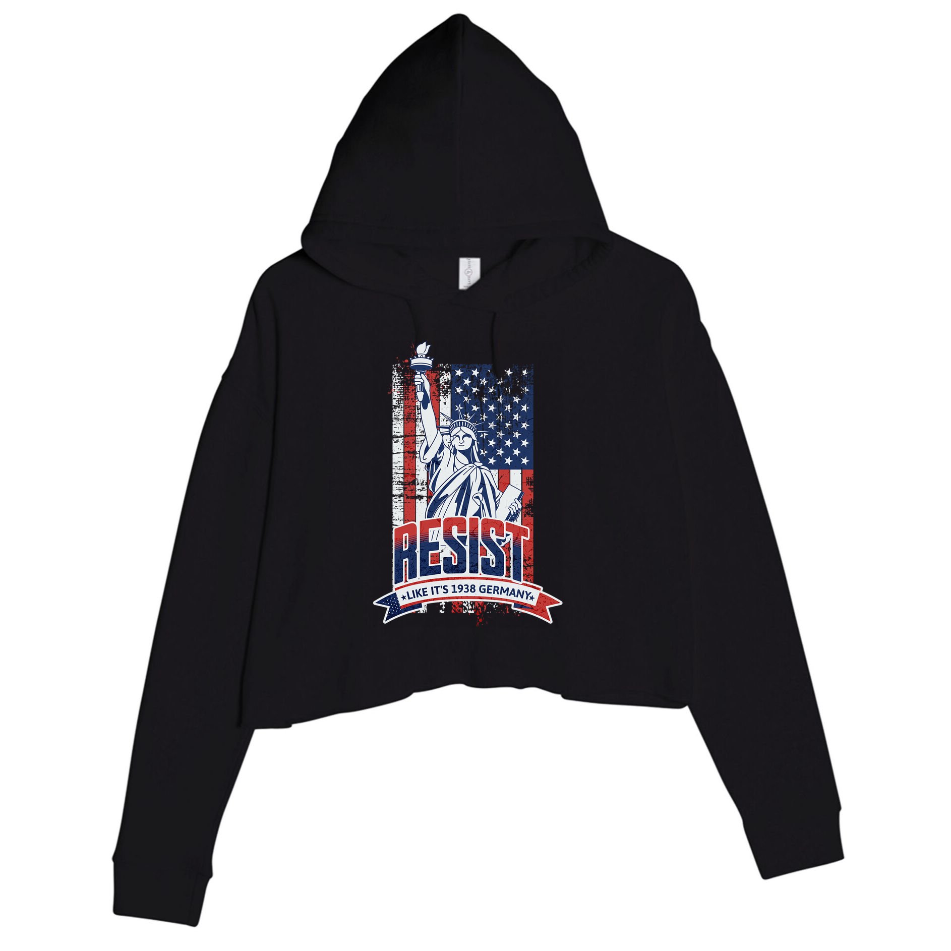 Resist Like It'S 1938 Germany Political Protest Project 2025 Crop Fleece Hoodie