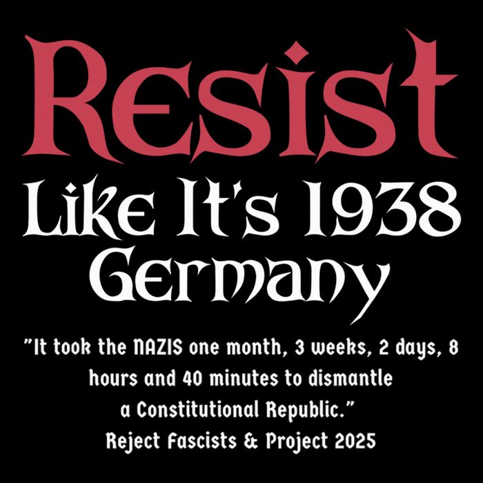 Resist Like It'S 1938 Germany Retro Mug