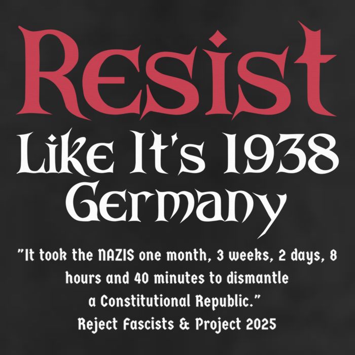 Resist Like It'S 1938 Germany Retro 11oz C Handle Ceramic Mug