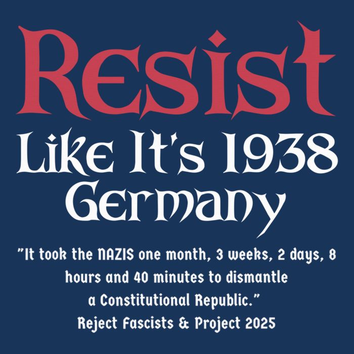 Resist Like It'S 1938 Germany Retro Womens T-Shirt