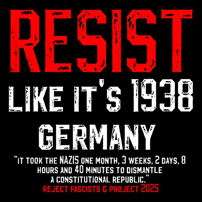 Resist like it's 1938 Germany Reject Fascism Project 2025 Flat Bill Trucker Hat