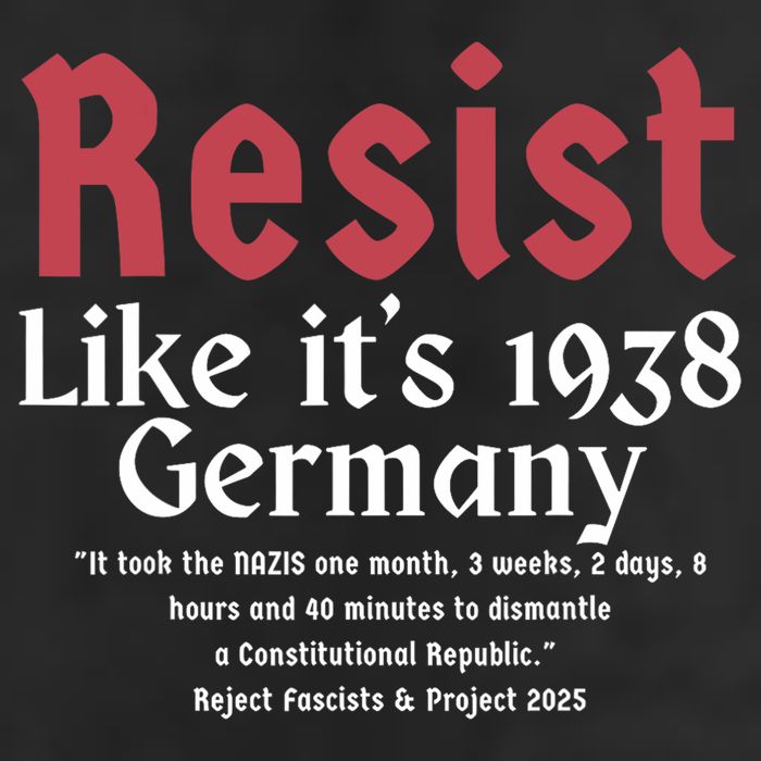 Resist Like It's 1938 Germany 15oz Campfire Ceramic Mug