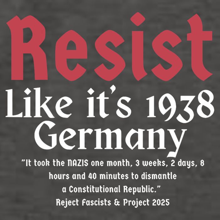 Resist Like It's 1938 Germany Vector Backpack