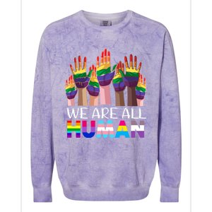 Rainbow Lgbt Lgbtq We Are All Hu Pride Gift Colorblast Crewneck Sweatshirt