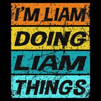 Retro Liam Name Personalized Liam Name Men Kids Mesh Reversible Basketball Jersey Tank