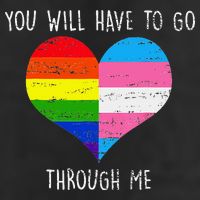 Retro Lgbtq Pride You’Ll Have To Go Through Me Tumbler