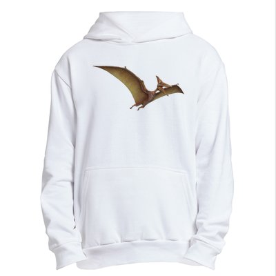 Really Like Pterodactyl Dinosaur Flying Reptile Urban Pullover Hoodie