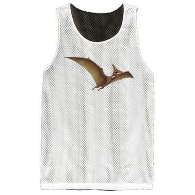 Really Like Pterodactyl Dinosaur Flying Reptile Mesh Reversible Basketball Jersey Tank