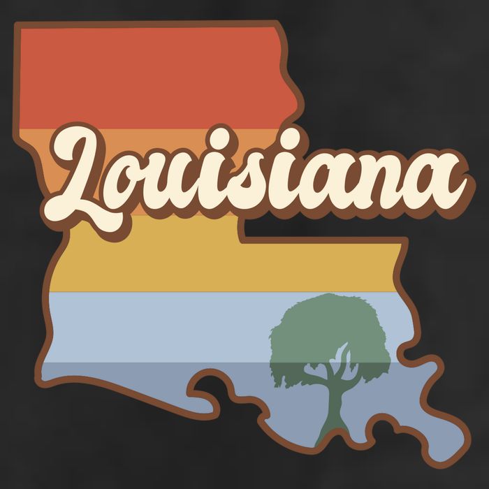 Retro Louisiana Adult Drive Performance Visor