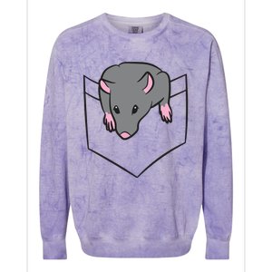 Rat Lover Rat In A Pocket Colorblast Crewneck Sweatshirt