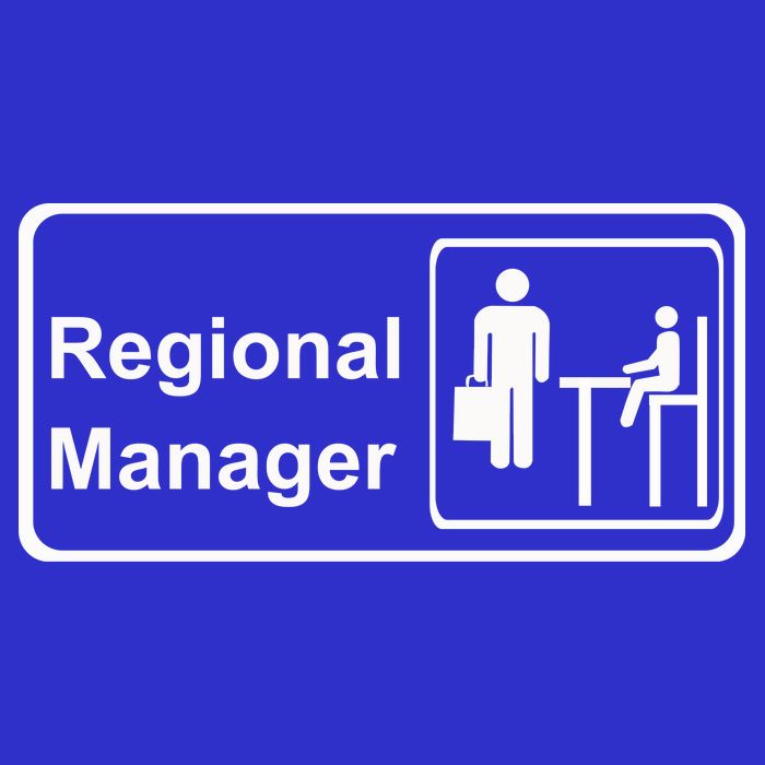 Regional Manager Assistant To The Regional Manager Matching T-Shirt