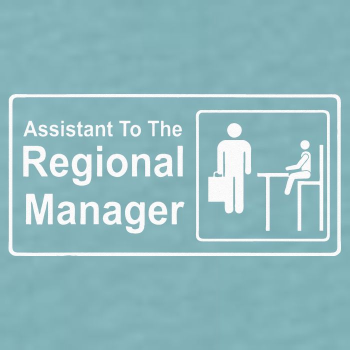 Regional Manager Assistant To The Regional Manager Matching Sueded Cloud Jersey T-Shirt