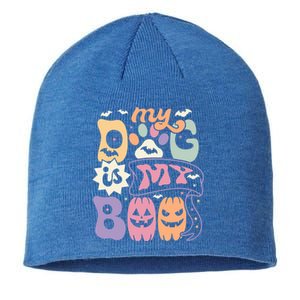 Retro My Dog Is My Boo Funny Dog Mom Pet Lovers Halloween Gift Sustainable Beanie