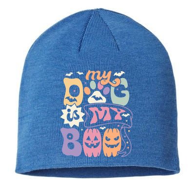 Retro My Dog Is My Boo Funny Dog Mom Pet Lovers Halloween Gift Sustainable Beanie