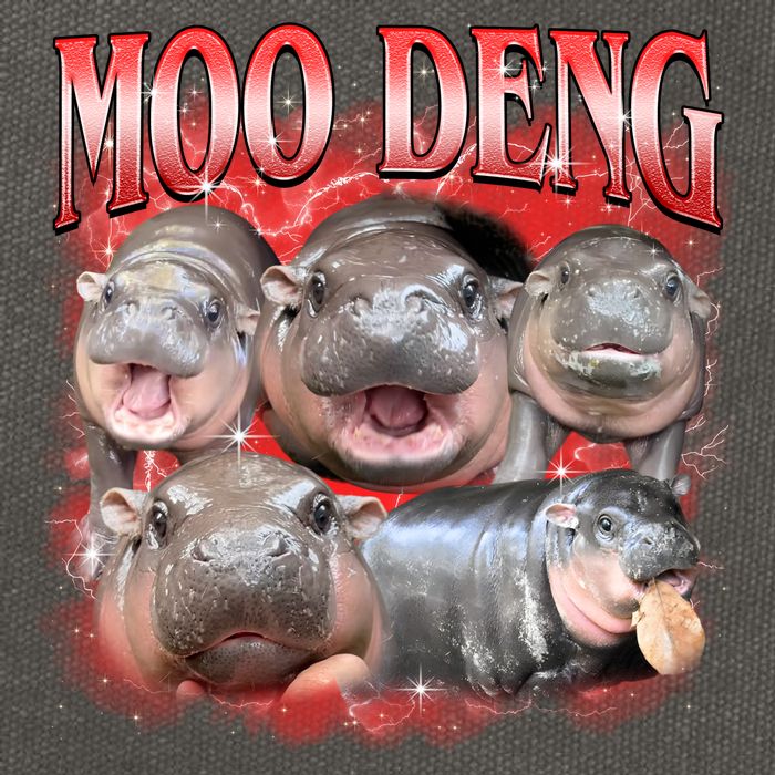 Red Moo Deng Meme Hippo Cotton Canvas Backpack