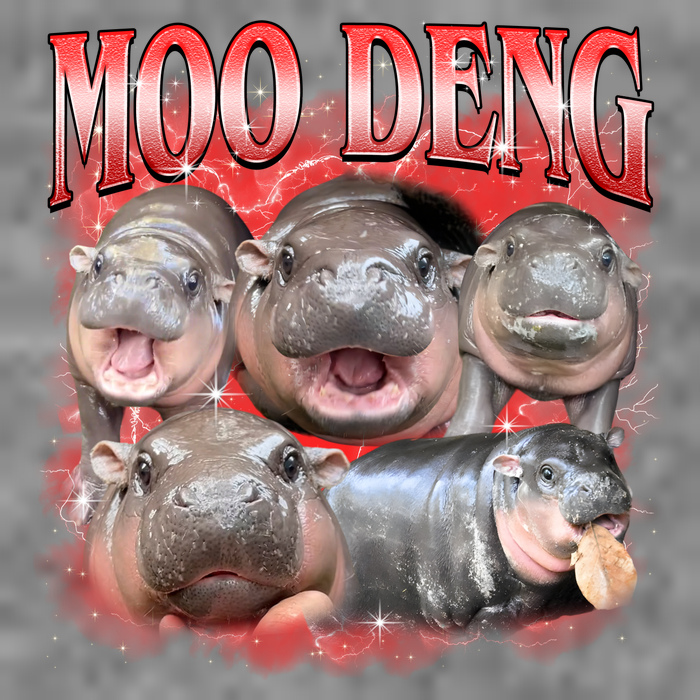 Red Moo Deng Meme Hippo Women's V-Neck T-Shirt