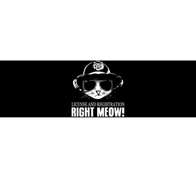 Right Meow Funny Bumper Sticker