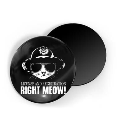 Right Meow Funny Magnet