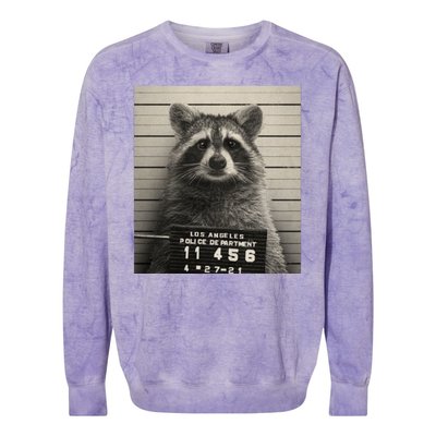 Raccoon Mugshot Funny Parody Colorblast Crewneck Sweatshirt