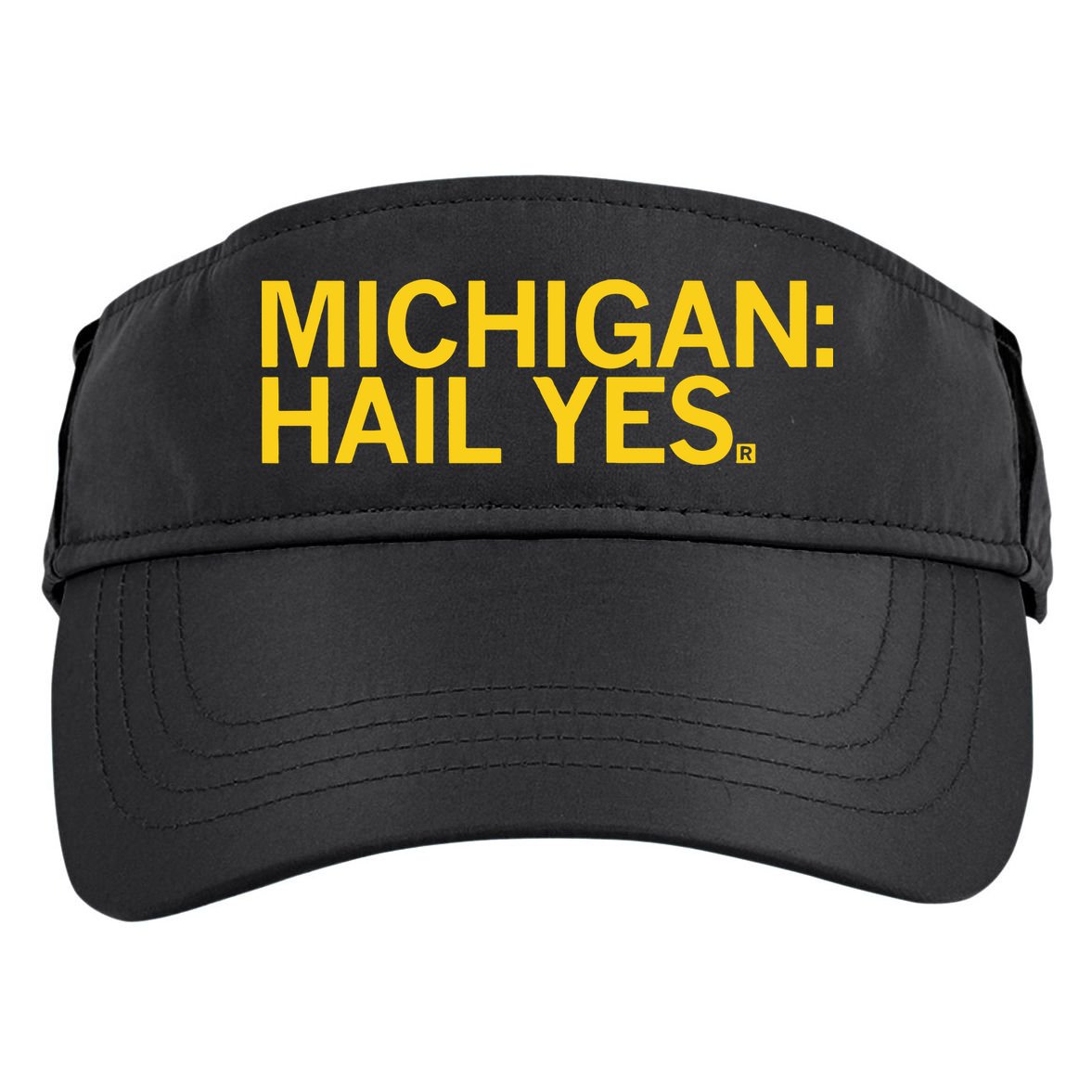 Raygun Michigan Hail Yes Adult Drive Performance Visor