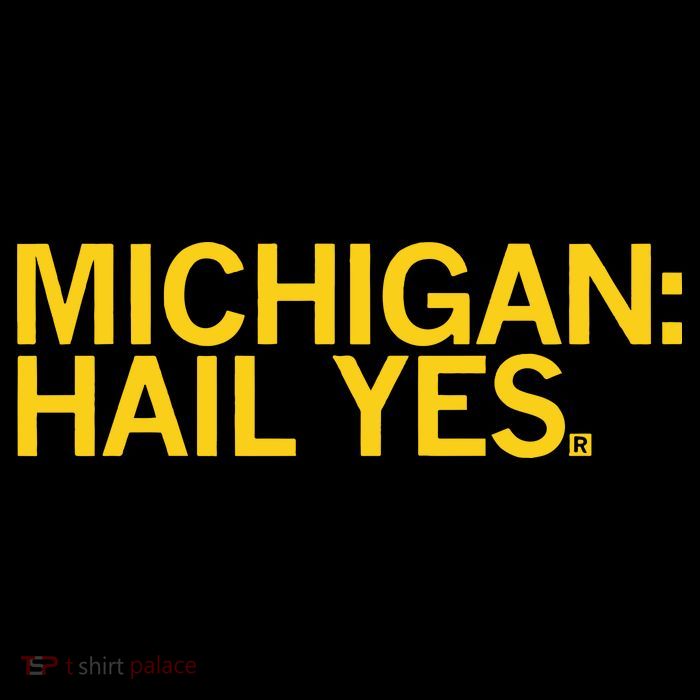 Raygun Michigan Hail Yes 16 in Basic Backpack