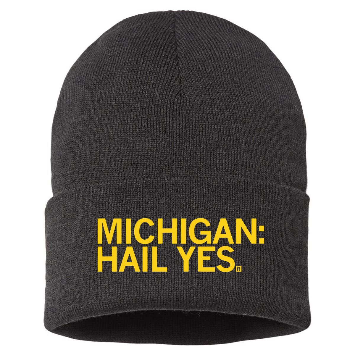 Raygun Michigan Hail Yes Sustainable Knit Beanie