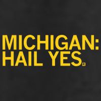 Raygun Michigan Hail Yes Golf Towel
