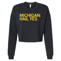 Raygun Michigan Hail Yes Cropped Pullover Crew
