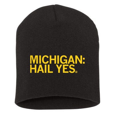 Raygun Michigan Hail Yes Short Acrylic Beanie