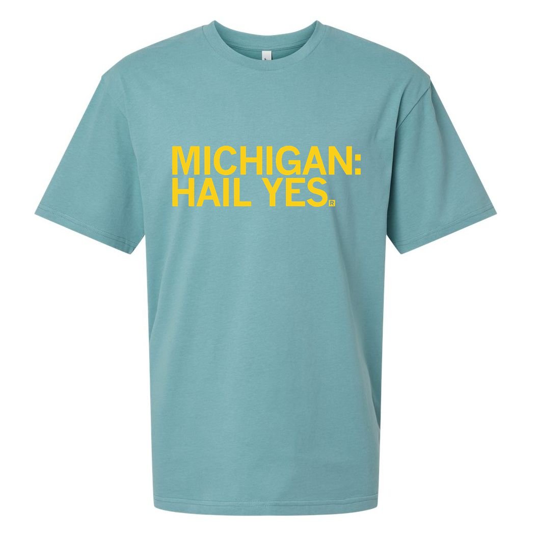 Raygun Michigan Hail Yes Sueded Cloud Jersey T-Shirt