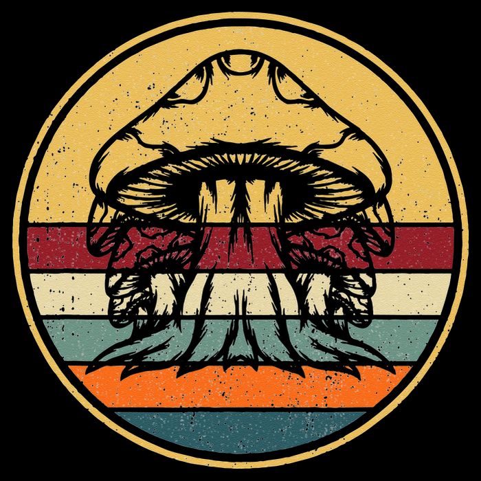 Retro Mushroom Hunter Fungi Foraging Vintage Mycologist T-Shirt