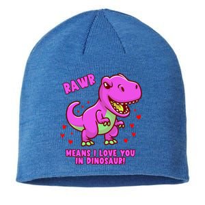 Rawr Means I Love You In Dinosaur With Big Pink Dinosaur Gift Sustainable Beanie