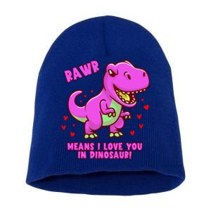 Rawr Means I Love You In Dinosaur With Big Pink Dinosaur Gift Short Acrylic Beanie