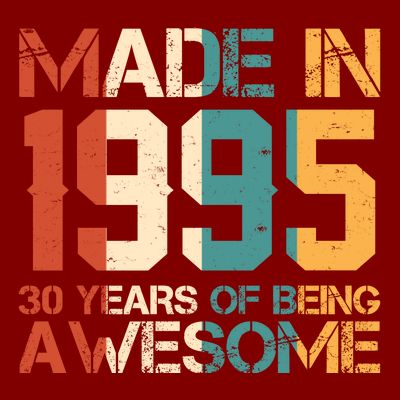 Retro Made In 1995 30 Years Of Being Awesome Birthday T-Shirt