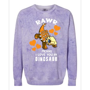 Rawr Means I Love You In Dinosaur Baby Ankylosaurus Design Sweatshirt Colorblast Crewneck Sweatshirt