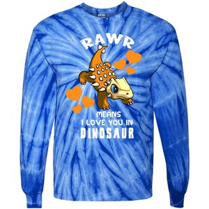 Rawr Means I Love You In Dinosaur Baby Ankylosaurus Design Sweatshirt Tie-Dye Long Sleeve Shirt