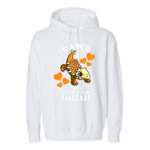 Rawr Means I Love You In Dinosaur Baby Ankylosaurus Design Sweatshirt Garment-Dyed Fleece Hoodie