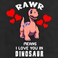 Rawr Means I Love You In Dinosaur Brontosaurus Design Gift Cool Comfort Performance Bucket Hat