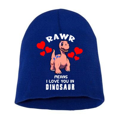 Rawr Means I Love You In Dinosaur Brontosaurus Design Gift Short Acrylic Beanie