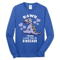 Rawr Means I Love You In Dinosaur Stegosaurus Design Gift Tall Long Sleeve T-Shirt