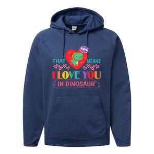 Rawr Means I Love You In Dinosaur Valentines Gift Dino Funny Gift Performance Fleece Hoodie