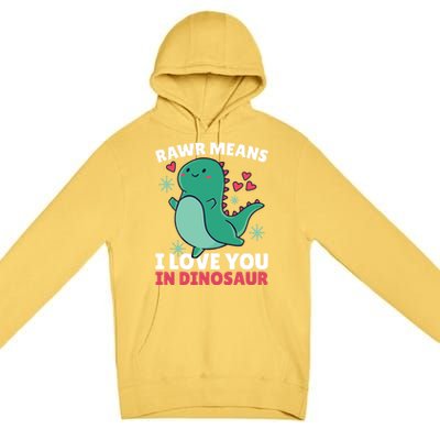 Rawr Means I Love You In Dinosaur Gift Premium Pullover Hoodie