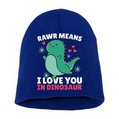 Rawr Means I Love You In Dinosaur Gift Short Acrylic Beanie