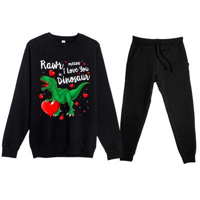 Rawr Means I Love You In Dinosaur Gift Valentines Day Cute Gift Premium Crewneck Sweatsuit Set