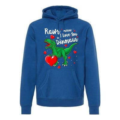 Rawr Means I Love You In Dinosaur Gift Valentines Day Cute Gift Premium Hoodie